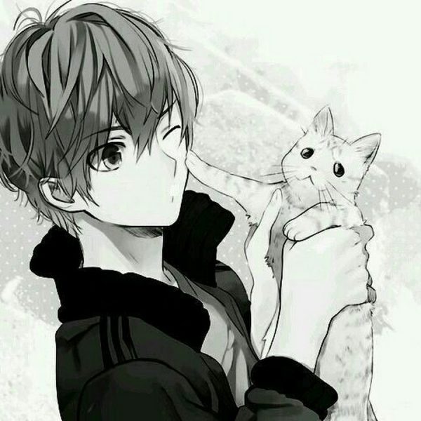 Ảnh anime ôm mèo màu đen nam cá tính